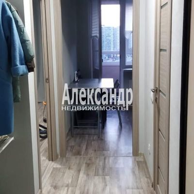Сдам однокомнатную (1-комн.) квартиру, к2, Мурино г