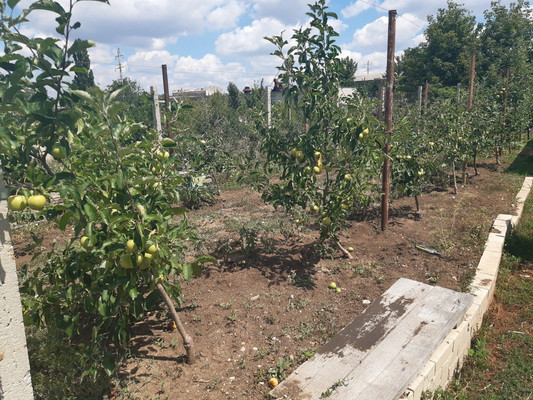 Продам дачу, Школьная ул, Молодежное пгт, 0 км от города