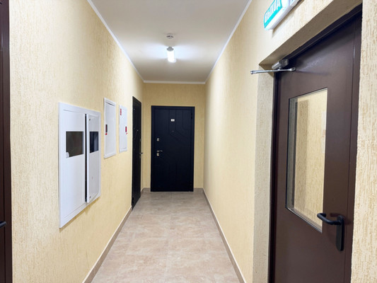 Продам однокомнатную (1-комн.) квартиру, Ньютона аллея, 2, Бугры п