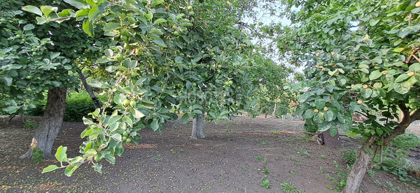 Продам дом, Уманская ул, 11, Каневская ст-ца, 0 км от города