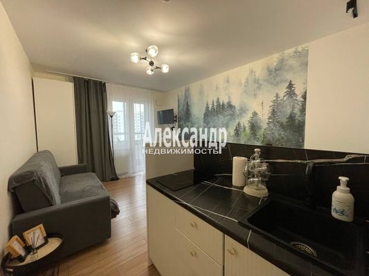 Продам однокомнатную (1-комн.) квартиру, Реки Каменки наб, 19к3, Санкт-Петербург г