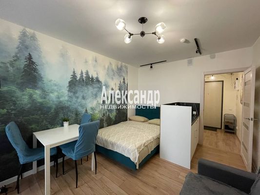 Продам однокомнатную (1-комн.) квартиру, Реки Каменки наб, 19к3, Санкт-Петербург г
