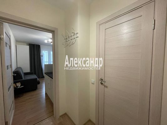 Продам однокомнатную (1-комн.) квартиру, Реки Каменки наб, 19к3, Санкт-Петербург г