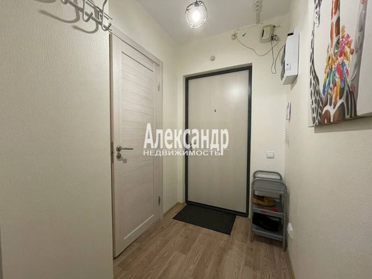 Продам однокомнатную (1-комн.) квартиру, Реки Каменки наб, 19к3, Санкт-Петербург г