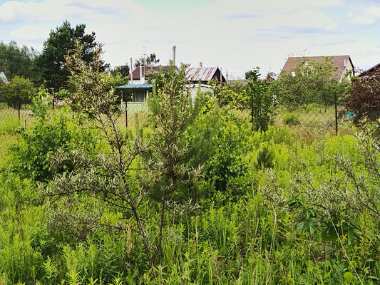 Продам участок 7 соток, ИЖС, ЗАО АК Золотая Антилопа тер, Загорново с, 0 км от города