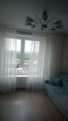 Продам однокомнатную (1-комн.) квартиру, Рябиновая ул, 1к1, Бородки д