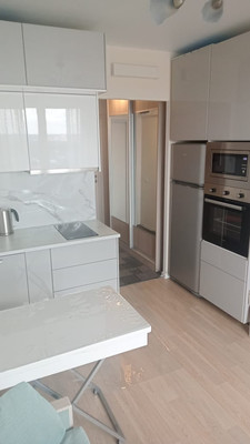 Продам однокомнатную (1-комн.) квартиру, Рябиновая ул, 1к1, Бородки д