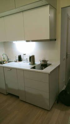 Продам однокомнатную (1-комн.) квартиру, Рябиновая ул, 1к1, Бородки д