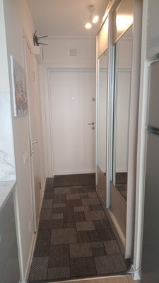 Продам однокомнатную (1-комн.) квартиру, Рябиновая ул, 1к1, Бородки д