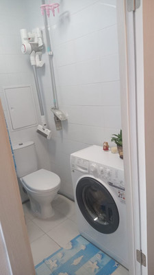 Продам однокомнатную (1-комн.) квартиру, Рябиновая ул, 1к1, Бородки д