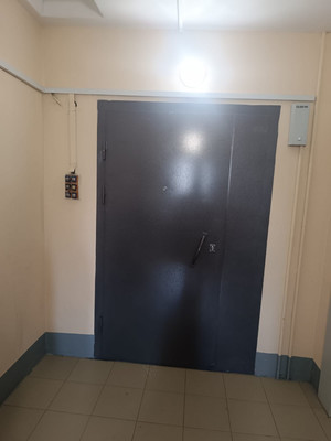 Продам двухкомнатную (2-комн.) квартиру, Димитрова ул, 29к1, Санкт-Петербург г