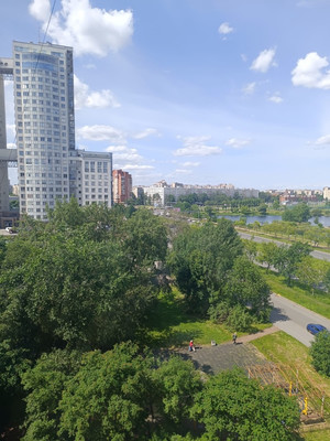 Продам двухкомнатную (2-комн.) квартиру, Димитрова ул, 29к1, Санкт-Петербург г