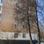 Продам однокомнатную (1-комн.) квартиру, Измайловский б-р, 66, Москва г