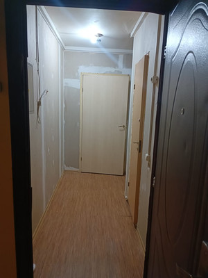 Продам однокомнатную (1-комн.) квартиру, Ветеранов ул, 2А, Вартемяги д