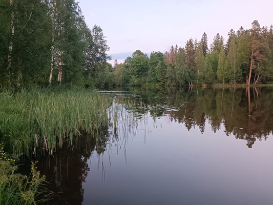 Продам однокомнатную (1-комн.) квартиру, Ветеранов ул, 2А, Вартемяги д