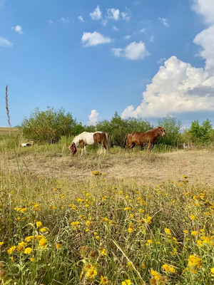 Продам дом, Новая ул, Лужки д, 0 км от города