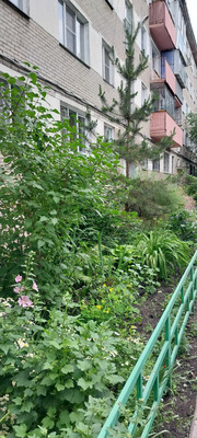 Продам двухкомнатную (2-комн.) квартиру, Гончаренко ул, 90кА, Челябинск г