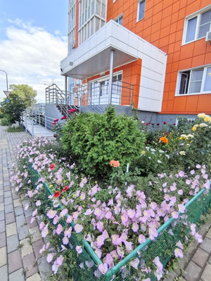 Продам однокомнатную (1-комн.) квартиру, Адмирала Пустошкина ул, 22к4, Анапа г