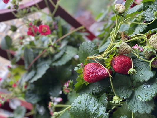 Продам многокомнатную квартиру, 1-я Мясниковская ул, 2, Москва г