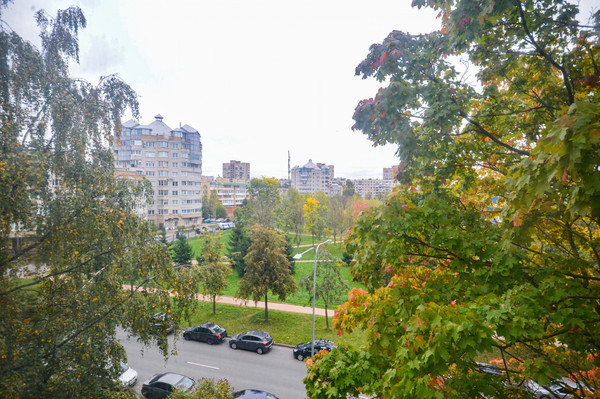 Продам трехкомнатную (3-комн.) квартиру, Кустодиева ул, 20к1, Санкт-Петербург г