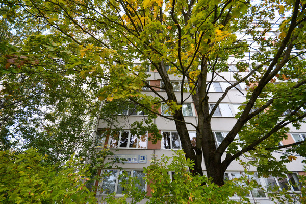 Продам трехкомнатную (3-комн.) квартиру, Кустодиева ул, 20к1, Санкт-Петербург г