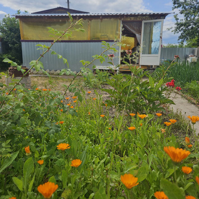 Продам дачу, Коммунальник снт, 8, Йошкар-Ола г, 0 км от города