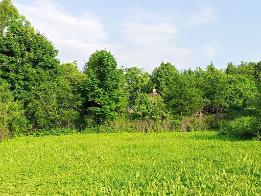 Продам дом, Ленина ул, 66, Сольцы г, 0 км от города