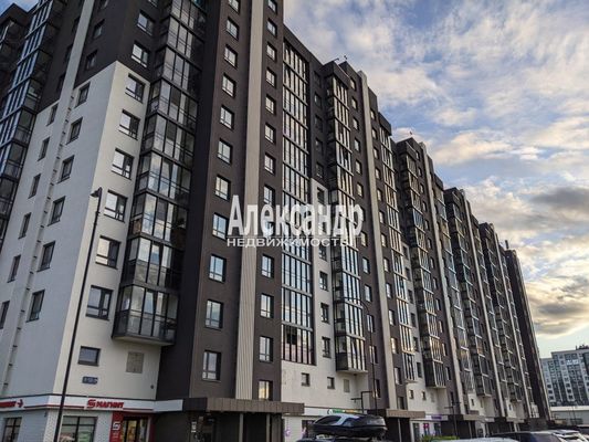 Сдам однокомнатную (1-комн.) квартиру, Большая Балтийская ул, 10к1, Новоселье гп