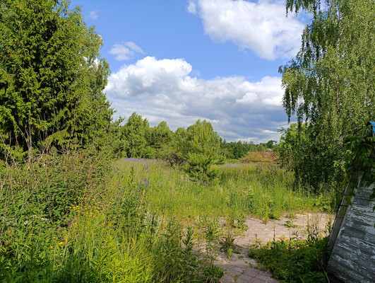 Продам дом, Совхозная ул, 31А, Муравьиха с, 0 км от города