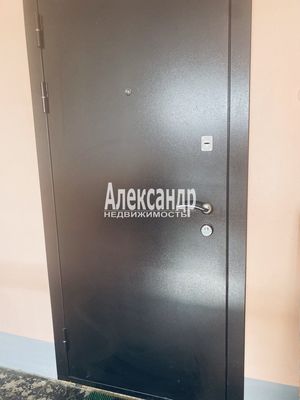 Продам двухкомнатную (2-комн.) квартиру, Альпийский пер, 11к1, Санкт-Петербург г