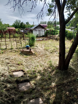 Продам дачу, Стимул тер. СНТ, 111, Страхово (Ситниковский с/с) д, 0 км от города