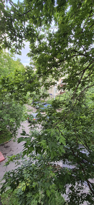 Продам трехкомнатную (3-комн.) квартиру, Маршала Жукова пр-кт, 17к1, Москва г