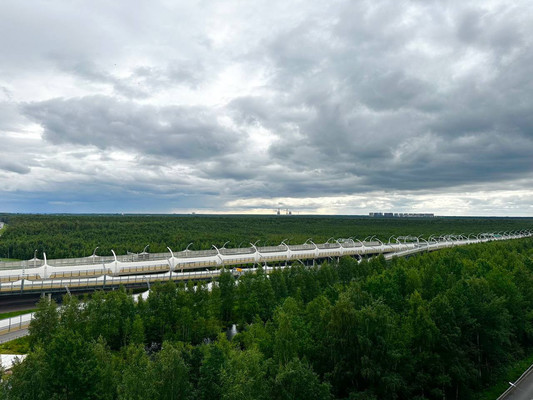 Продам однокомнатную (1-комн.) квартиру, Планерная ул, 63к1, Санкт-Петербург г