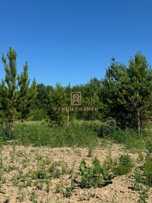 Продам участок 9 соток, СНТ, Мечта тер. ТСН, Бердск г, 35 км от города