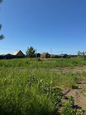 Продам участок 6 соток, СНТ, Мечта тер. ТСН, Бердск г, 30 км от города