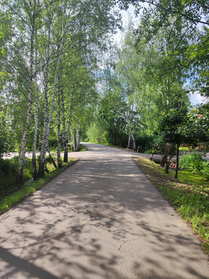 Продам участок 24 соток, ИЖС, Кучино д, 0 км от города