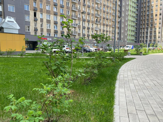 Продам однокомнатную (1-комн.) квартиру, Берёзовая аллея, 19к2, Москва г