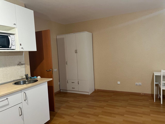 Продам однокомнатную (1-комн.) квартиру, Толубеевский проезд, 24, Парголово п