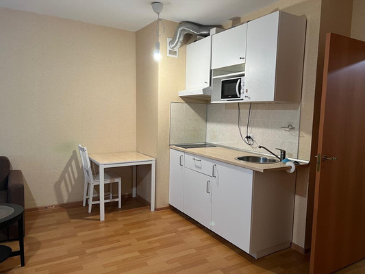 Продам однокомнатную (1-комн.) квартиру, Толубеевский проезд, 24, Парголово п