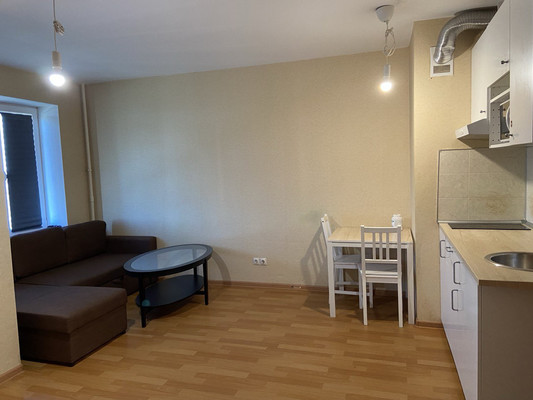 Продам однокомнатную (1-комн.) квартиру, Толубеевский проезд, 24, Парголово п