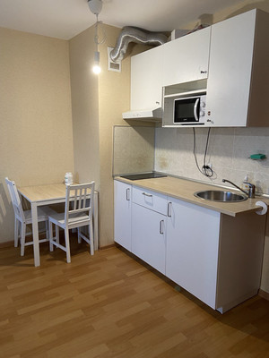 Продам однокомнатную (1-комн.) квартиру, Толубеевский проезд, 24, Парголово п