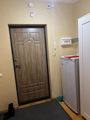Продам однокомнатную (1-комн.) квартиру, Толубеевский проезд, 24, Парголово п