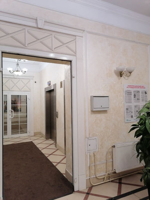 Продам однокомнатную (1-комн.) квартиру, Глухая Зеленина ул, 4, Санкт-Петербург г