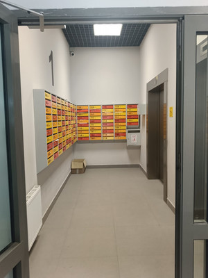 Сдам однокомнатную (1-комн.) квартиру, Старорусский пр-кт, 13к1, Шушары п