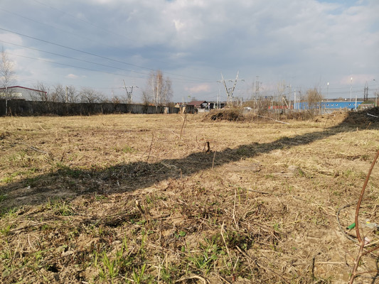 Продам землю для коммерческого использования 41,25 соток, СНТ Полянка Наро-Фоминский леспромхоз тер, Александровка п