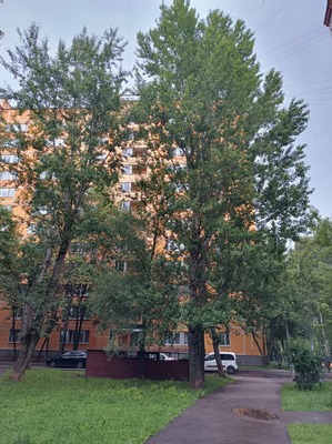 Продам трехкомнатную (3-комн.) квартиру, Бирюлёвская ул, 18к2, Москва г