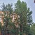 Продам трехкомнатную (3-комн.) квартиру, Бирюлёвская ул, 18к2, Москва г
