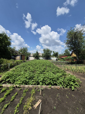 Продам дом, Садовая (Путь Мичурина тер. ДНТ) ул, 9, Воронеж г, 0 км от города