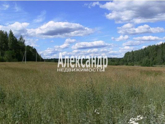 Продам участок 1 200 соток, ЛПХ, Владимировка п, 85 км от города