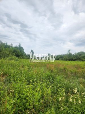 Продам участок 12 соток, ИЖС, Пчевжа тер. СНТ, 45 км от города